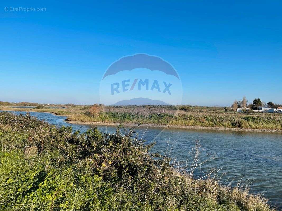 Terrain à NIEUL-SUR-MER