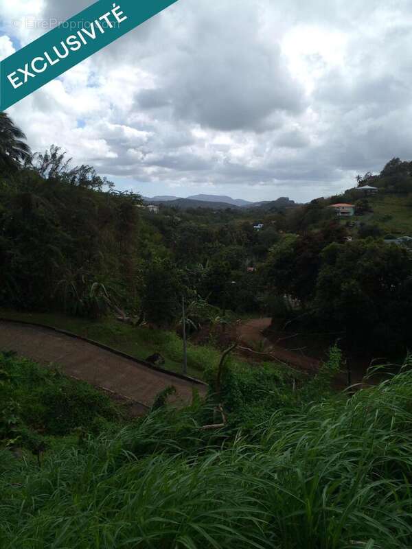 Photo 4 - Terrain à SAINT-ESPRIT