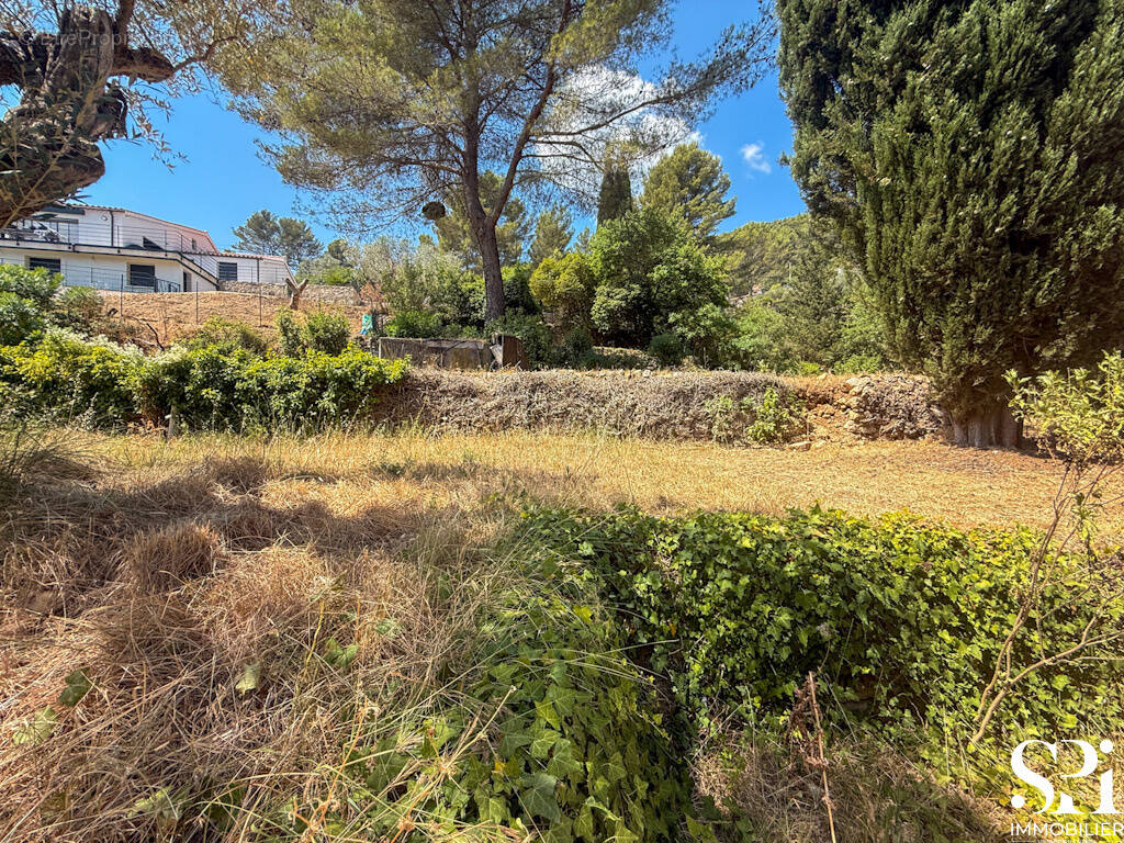 Terrain à SOLLIES-PONT