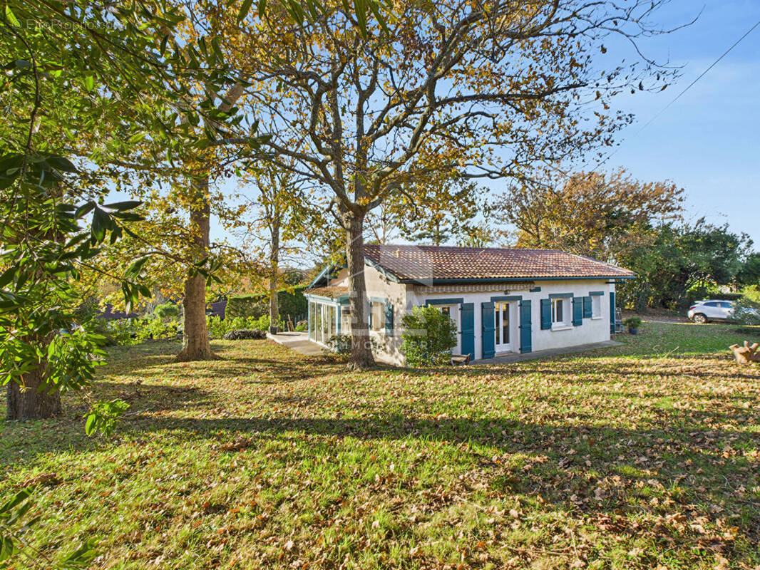 Maison à ARBONNE