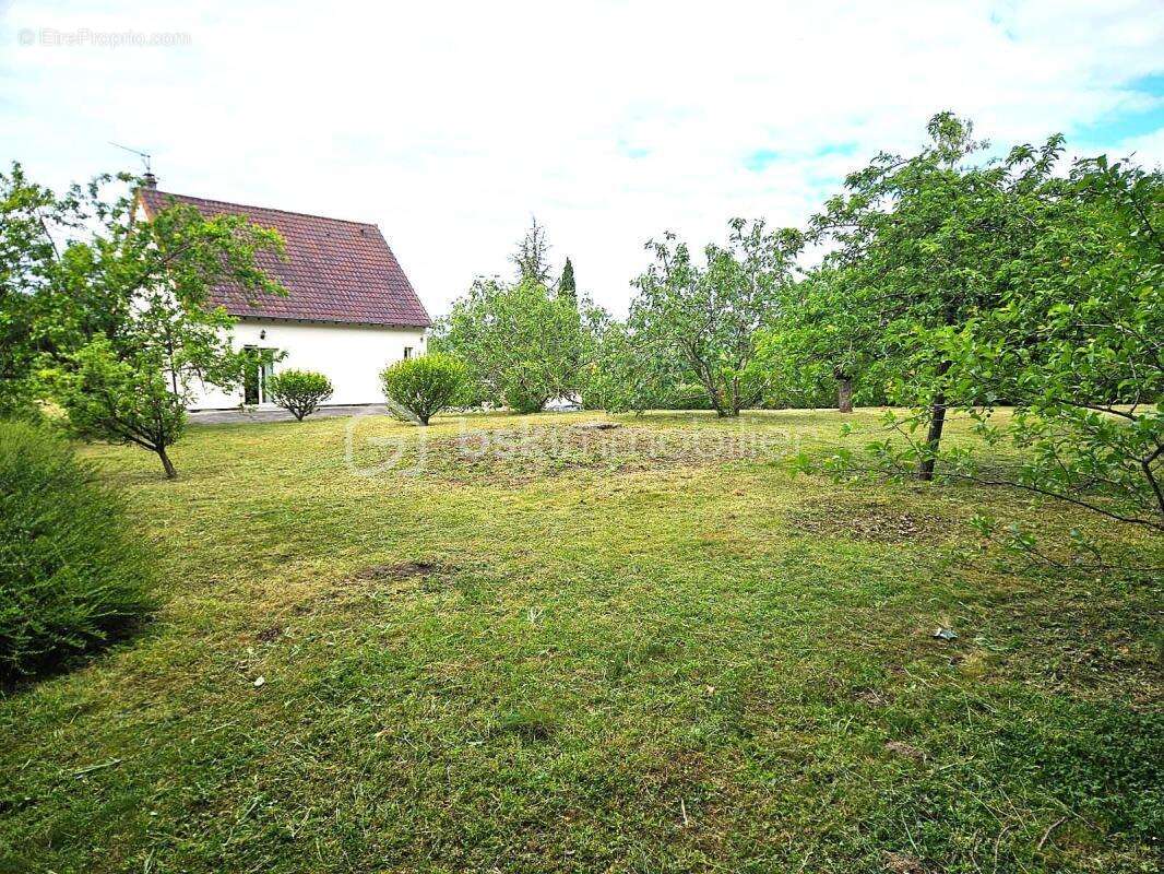 Maison à VAUX-SUR-SEINE
