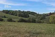 Terrain à SAINT-PALAIS
