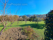 Terrain à MALAUCENE