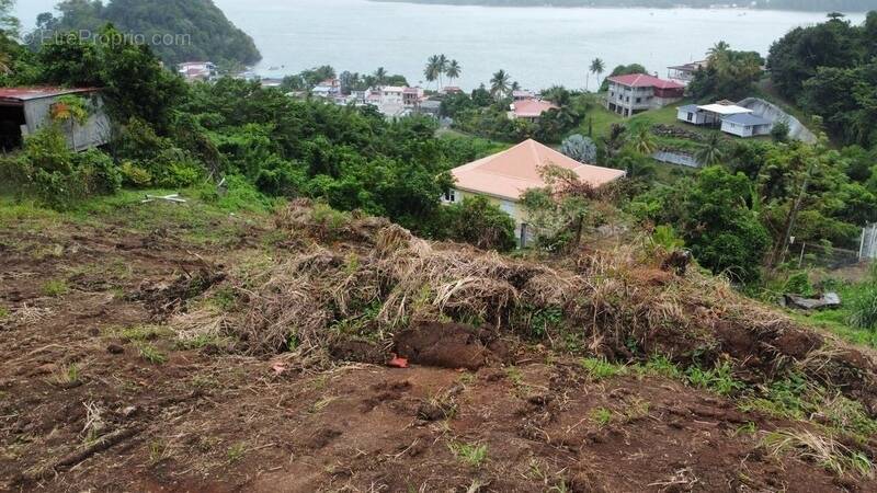 Terrain à LA TRINITE