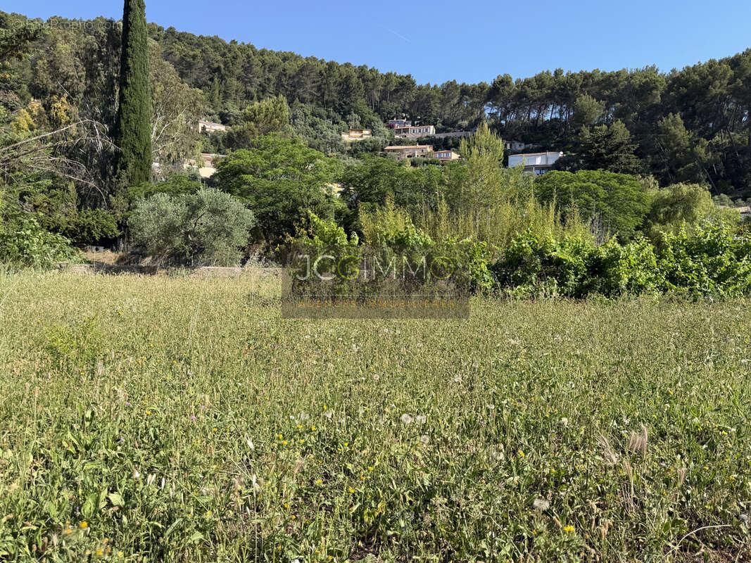 Terrain à SOLLIES-PONT