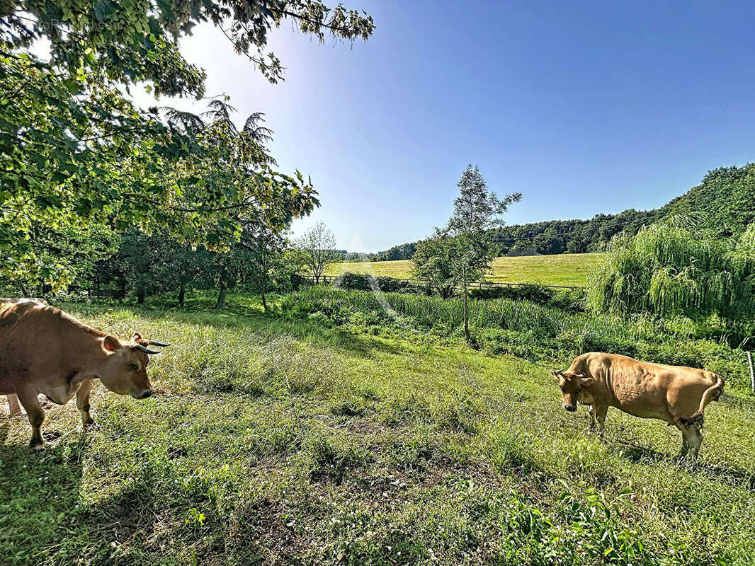 Terrain Loigne Sur Mayenne 23946 m2 - photo 8