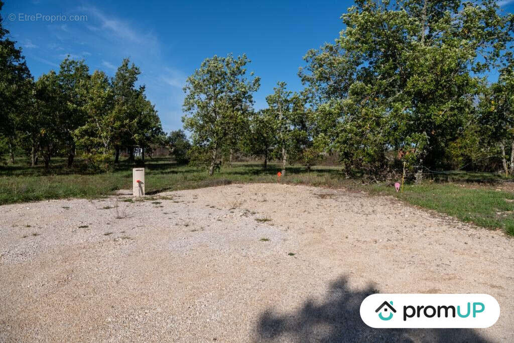 Terrain à LALBENQUE