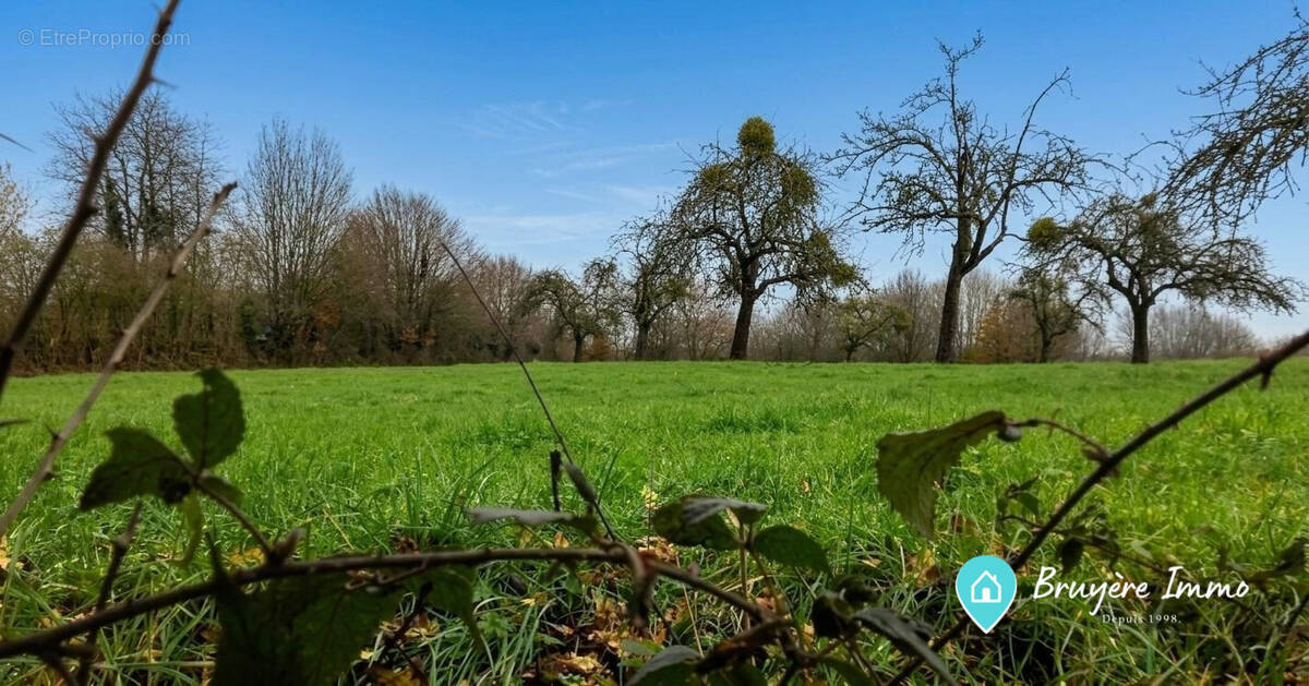 Terrain à SAINS-DU-NORD