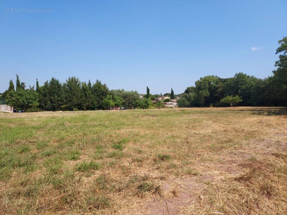 Terrain à PUGET-SUR-ARGENS