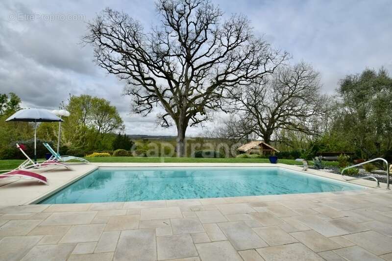 Villa de plain pied - 4 chambres - piscine - terrain de pétanque - garage - cadre naturel privilégié - photo 19