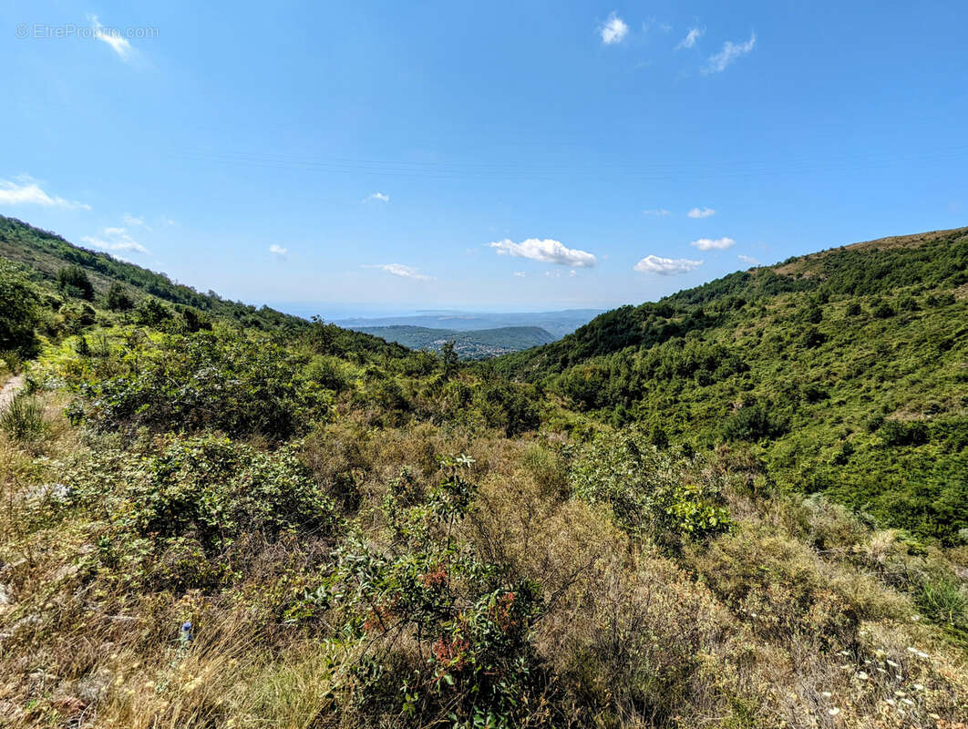 Terrain de 68490 m2 NON CONSTRUCTIBLE, Vence 06140 - photo 8