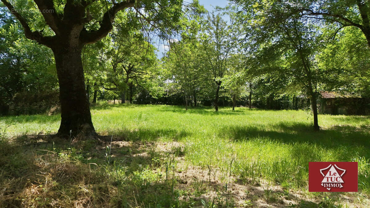Terrain à PENNE-D'AGENAIS