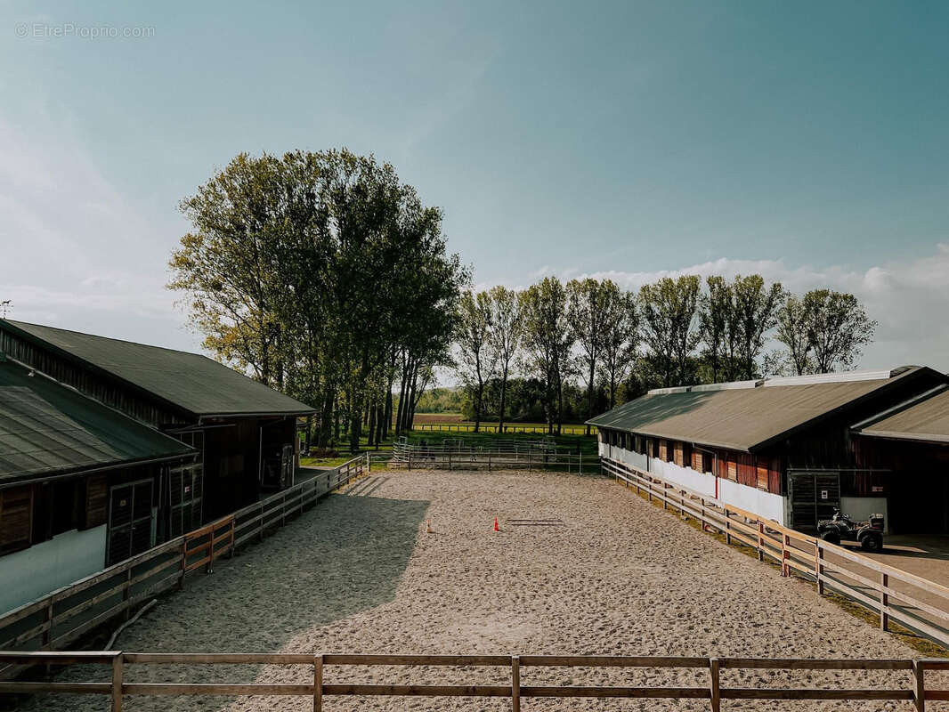 Propriété équestre - centre équestre - photo 3