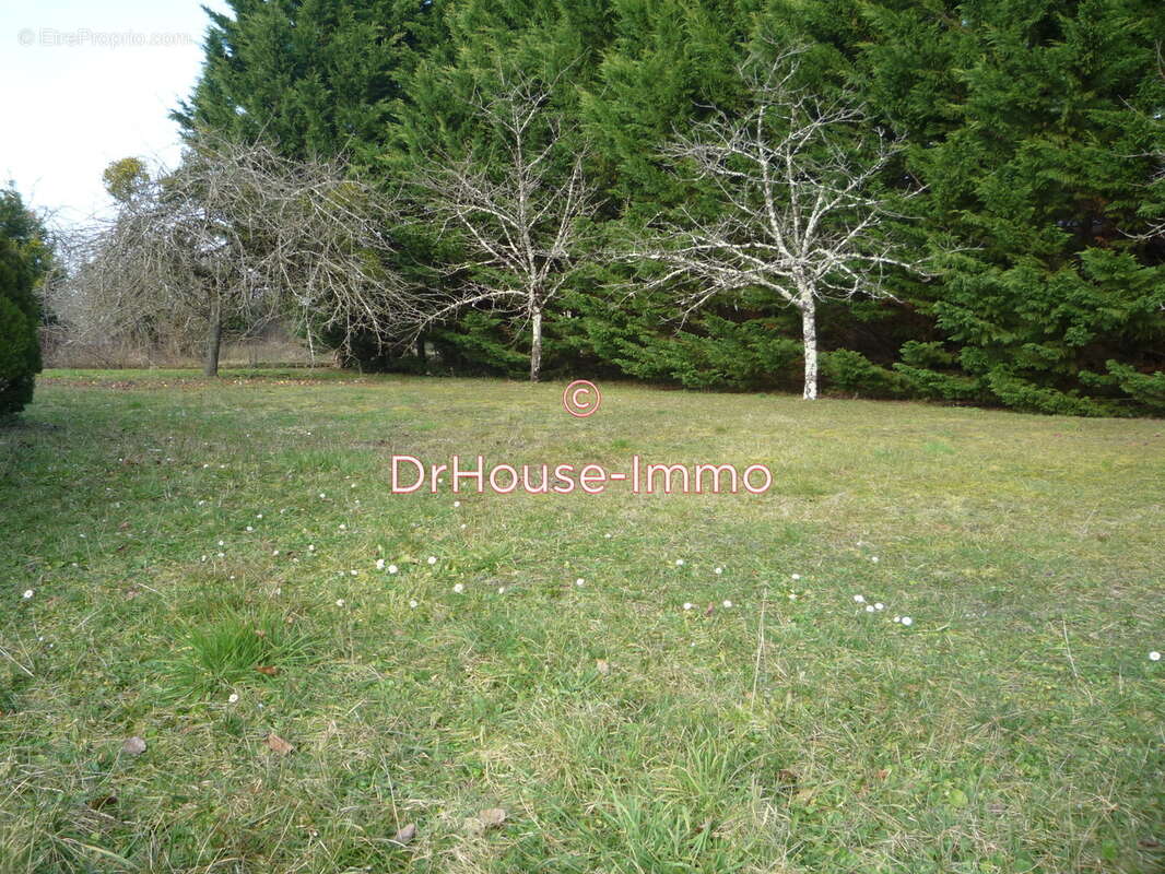 Terrain à MAZIERES-DE-TOURAINE