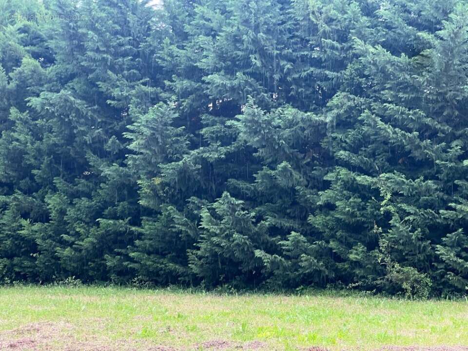 Terrain à SAINT-REMY-DE-PROVENCE