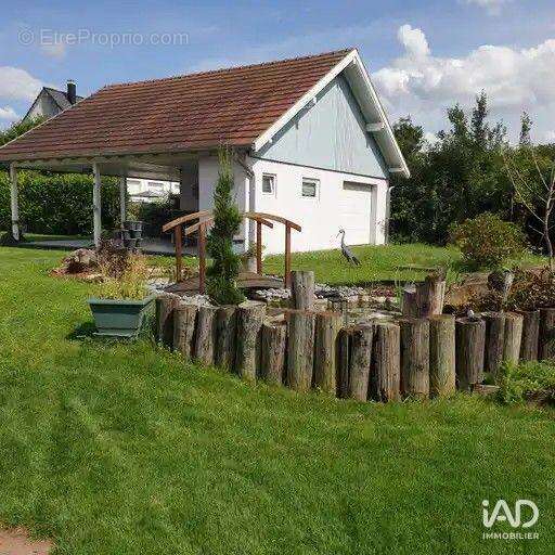 Photo 4 - Maison à MOMMENHEIM