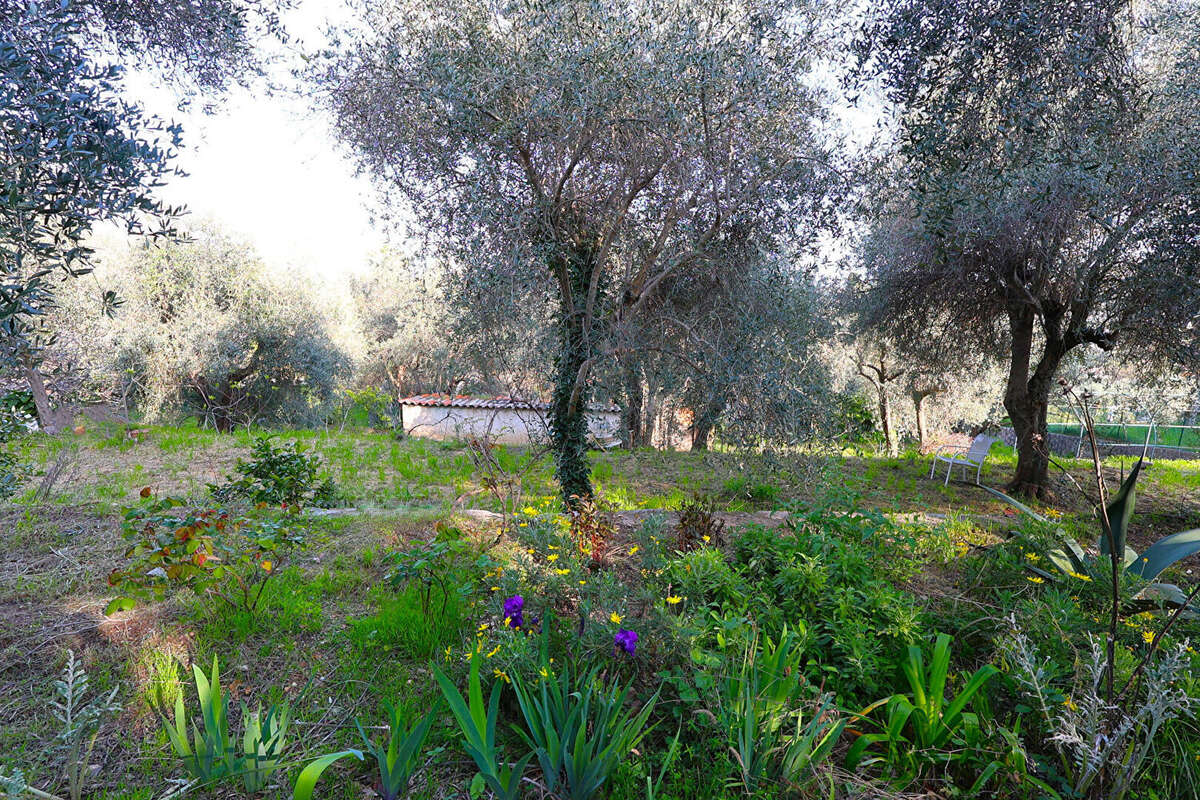 Terrain à SPERACEDES