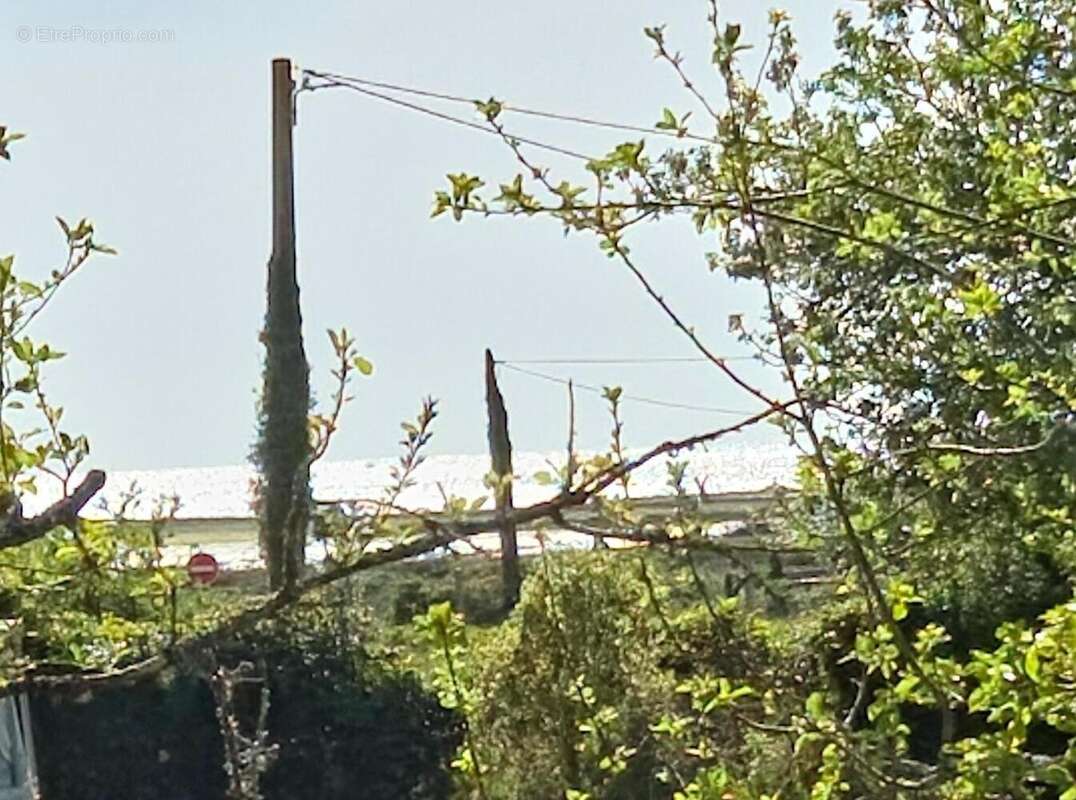 Photo 7 - Terrain à LE TOUR-DU-PARC