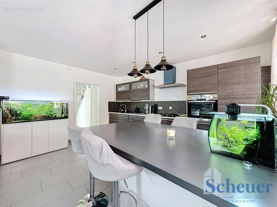 Maison à WESTHALTEN