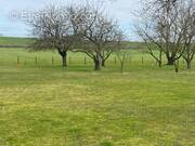 Terrain à NOYANT-DE-TOURAINE