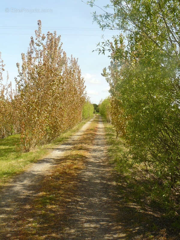 Maison à SAINT-JEAN-DE-MONTS