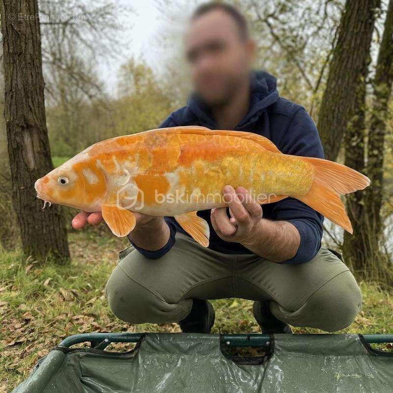 Terrain à SAVONNIERES