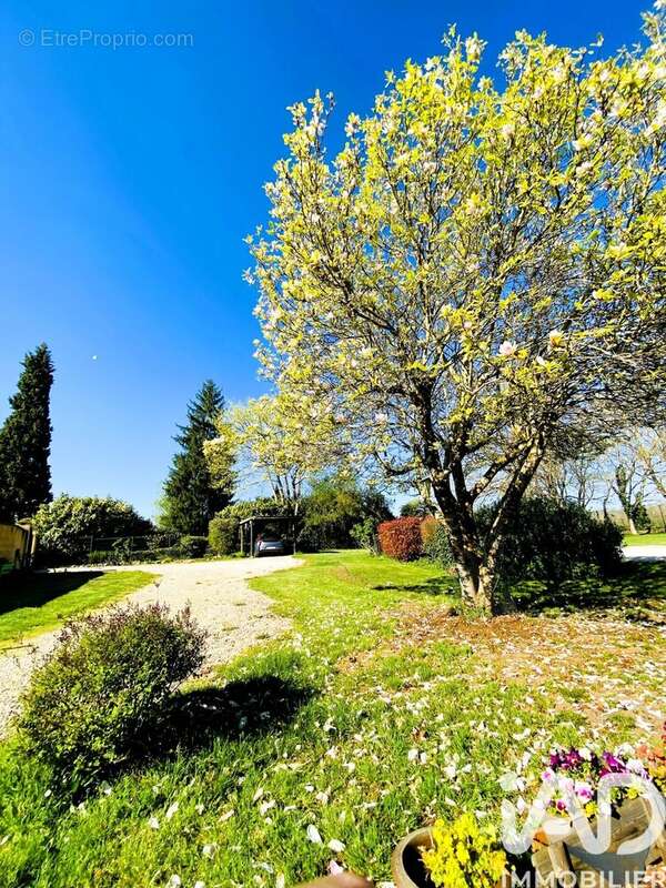 Photo 3 - Maison à CONDEZAYGUES