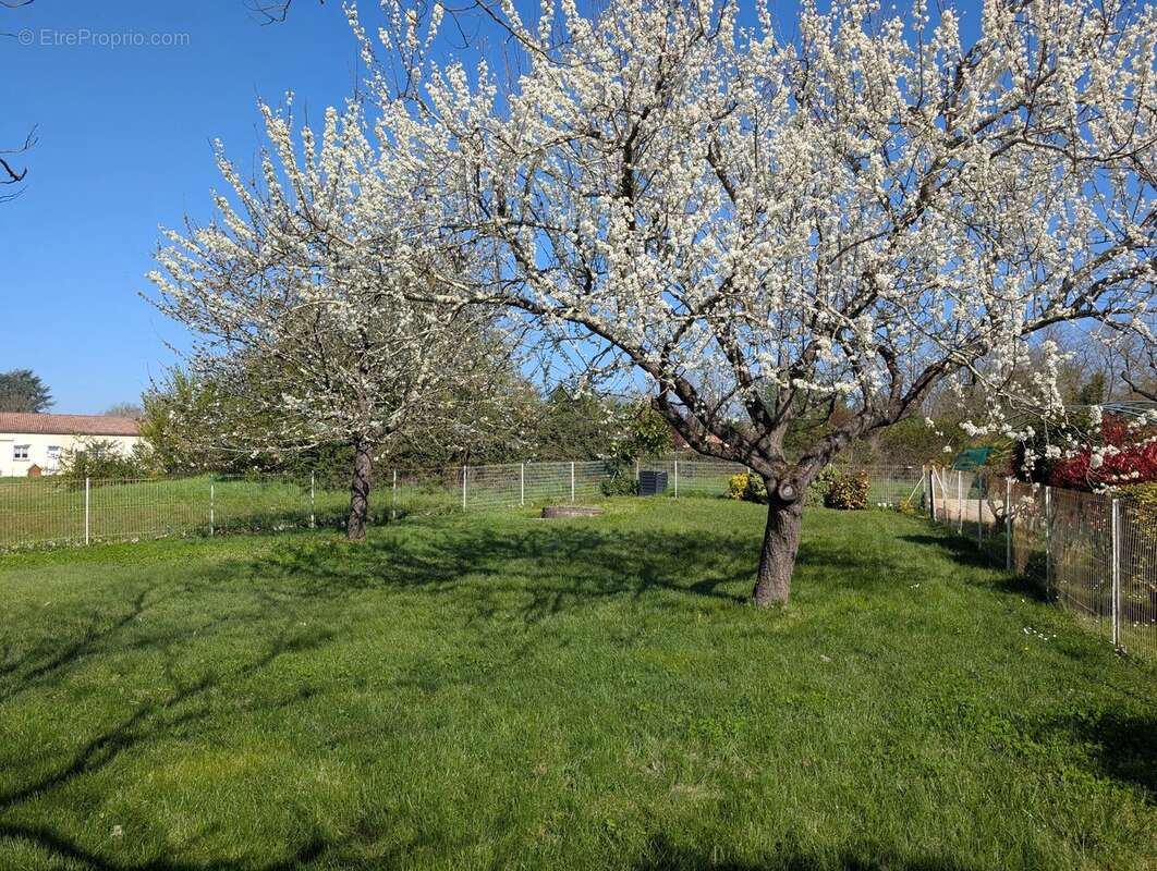 Maison à VILLENEUVE-SUR-LOT