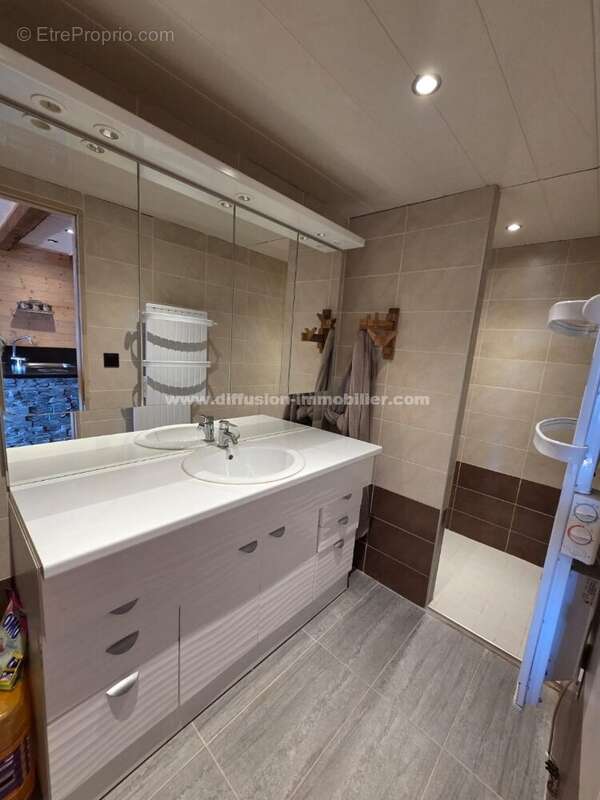 T3 avec mezzanine à Pra Loup 1500 - photo 3