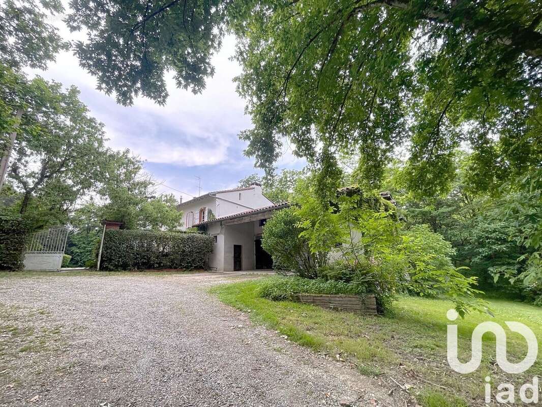 Photo 4 - Maison à VIEILLE-TOULOUSE