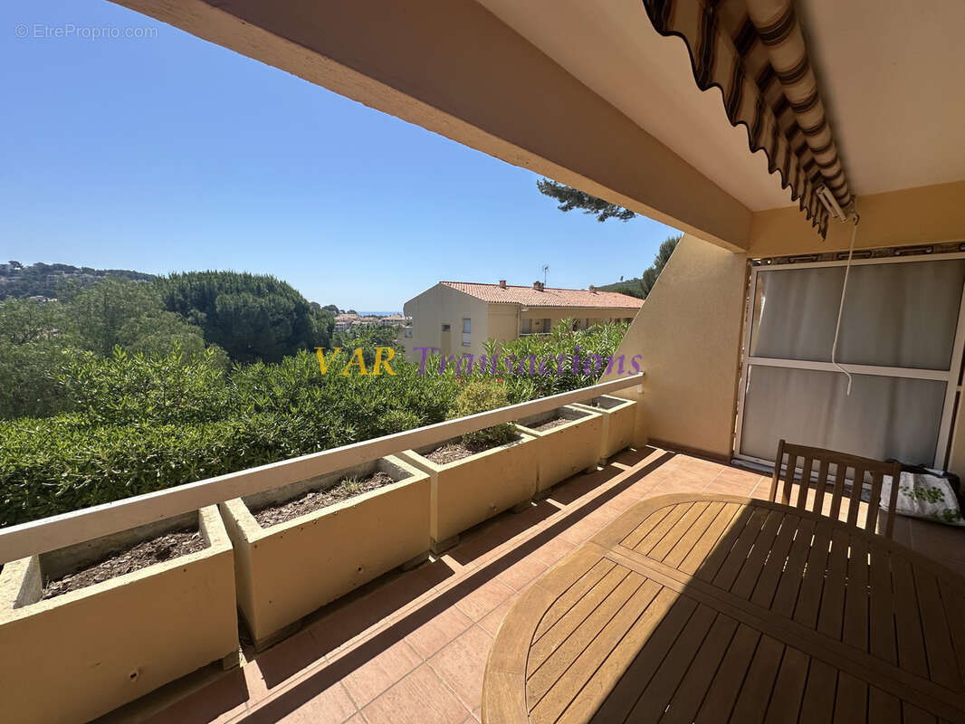 Appartement vue mer, terrasse, cave, parking - photo 9
