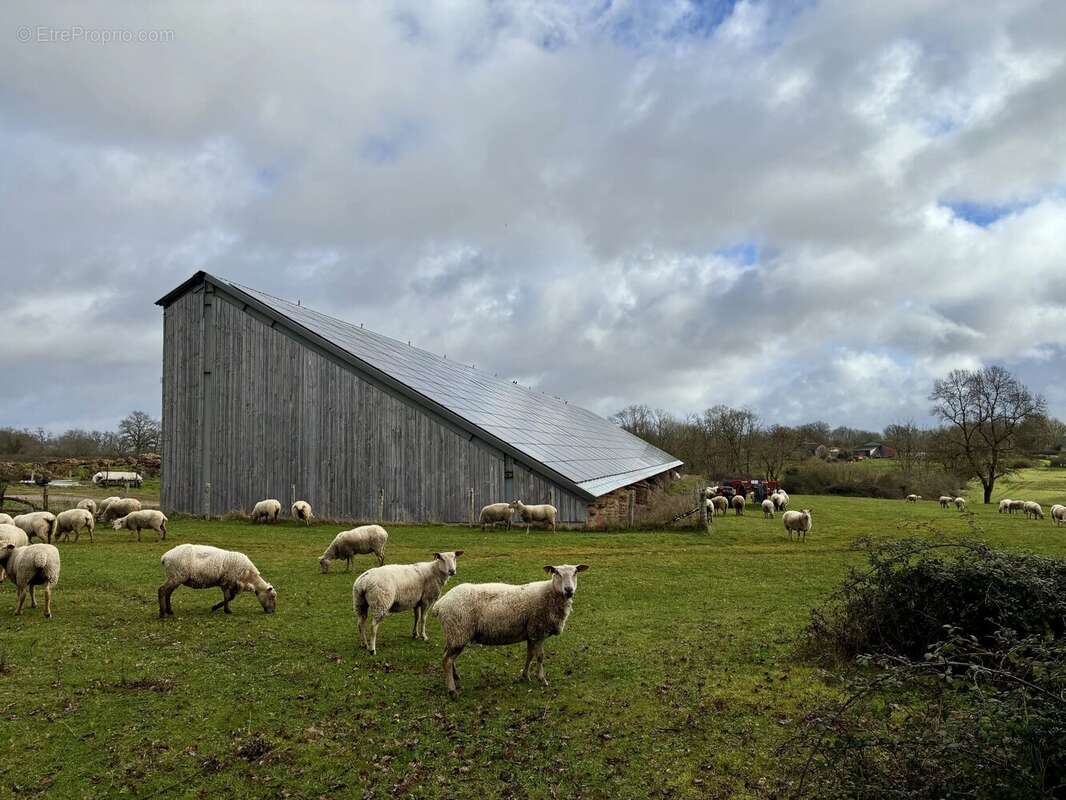 Maison à AVAILLES-LIMOUZINE