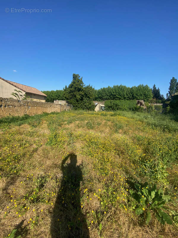 Terrain à CADEROUSSE
