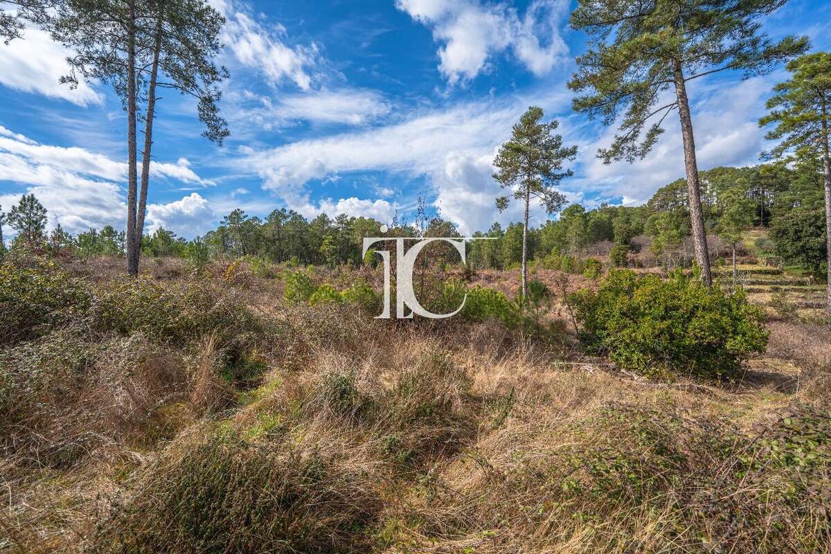 Terrain 9650m² situe plein sud - photo 4