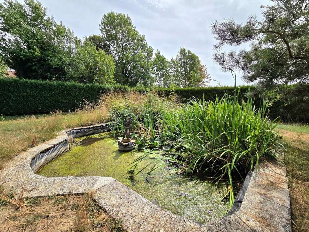 Maison 233 m² à Sormery  - photo 3
