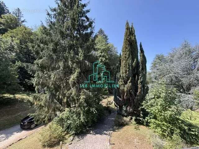 St Helene-sur- Isere - photo 27