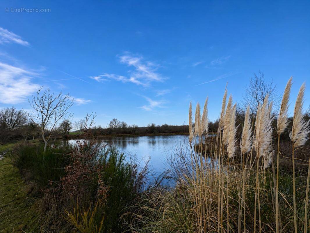 Terrain à CHATEAUROUX