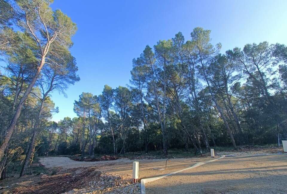 Terrain à LORGUES