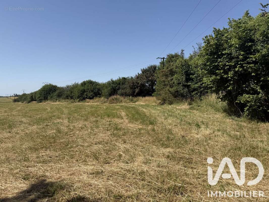 Terrain 2200 m² à Viels-Maisons  - photo 3
