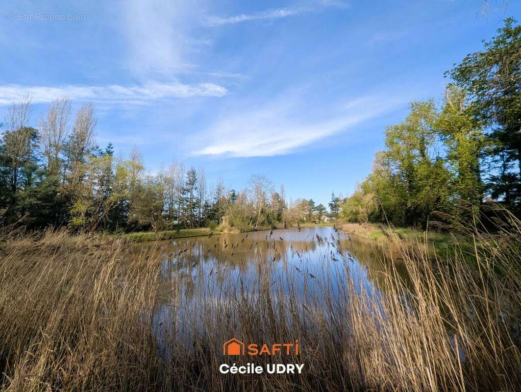 Photo 2 - Terrain à ATHEE-SUR-CHER