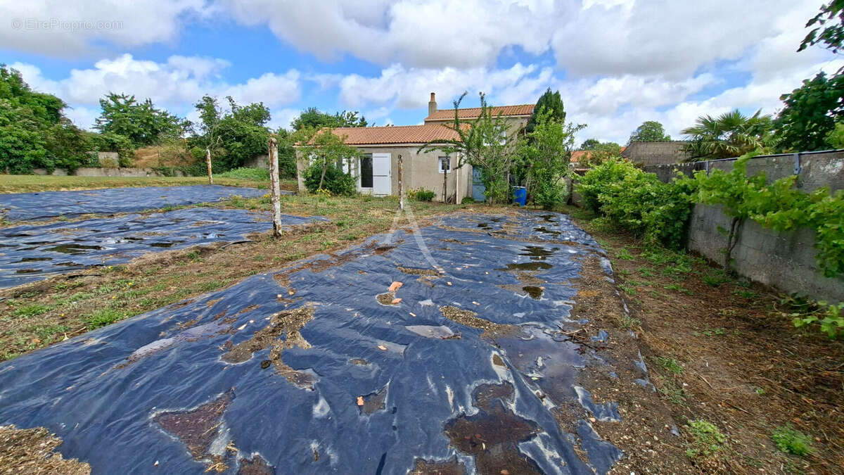 Maison à LE POIRE-SUR-VIE