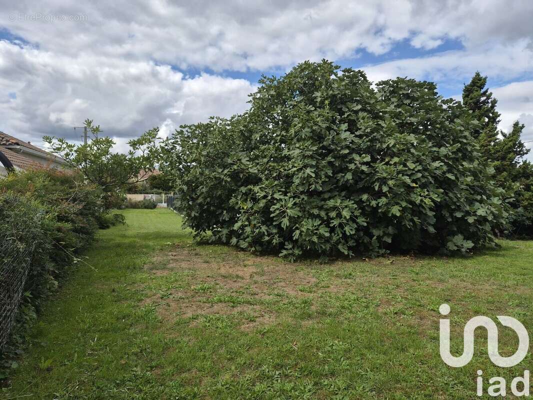 Photo 2 - Terrain à JUILLAN