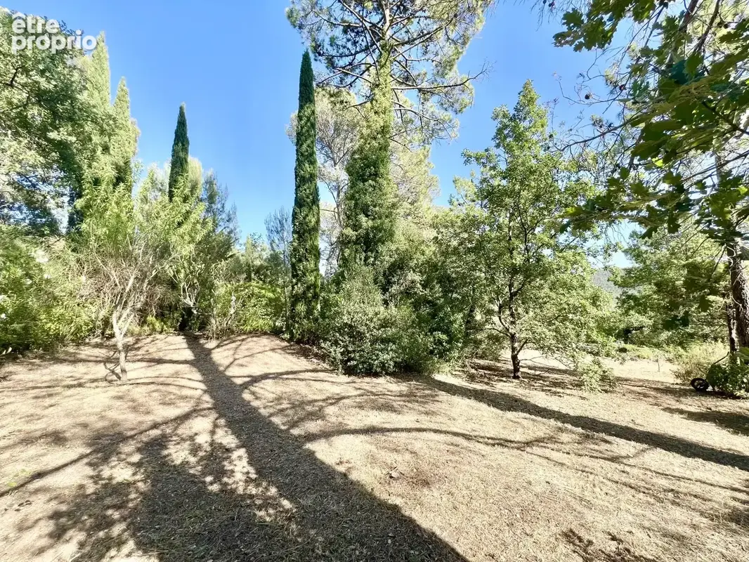 Villa d'architecte sur 5 350 m² de terrain avec piscine - photo 23