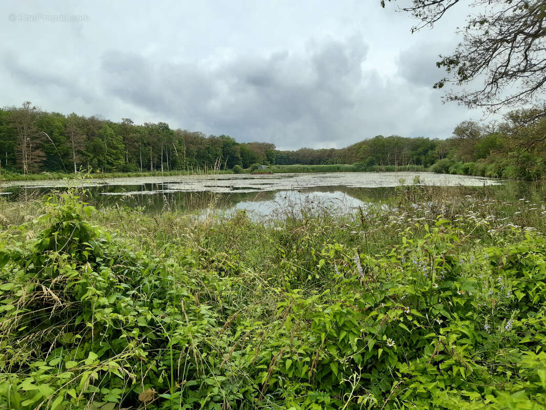 Terrain à TOUL