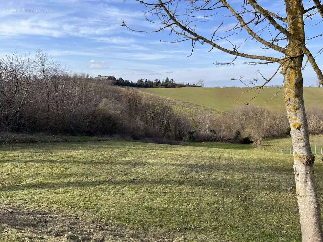 Terrain à NAILLOUX