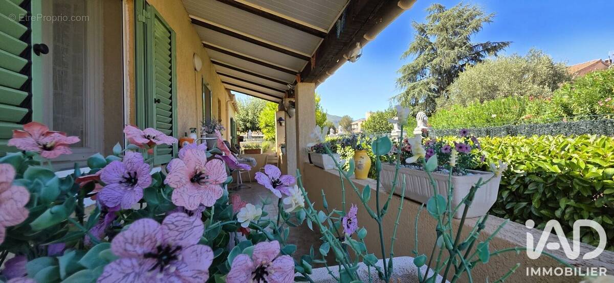 Photo 1 - Maison à BORGO