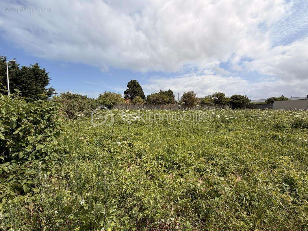 Terrain à bâtir plat de 1176m² - photo 3