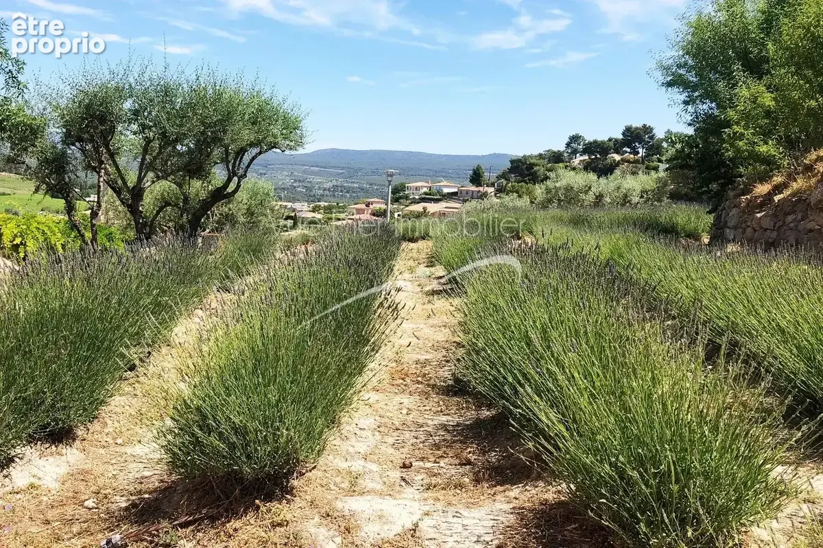 Un domaine au cœur de la Provence - photo 6