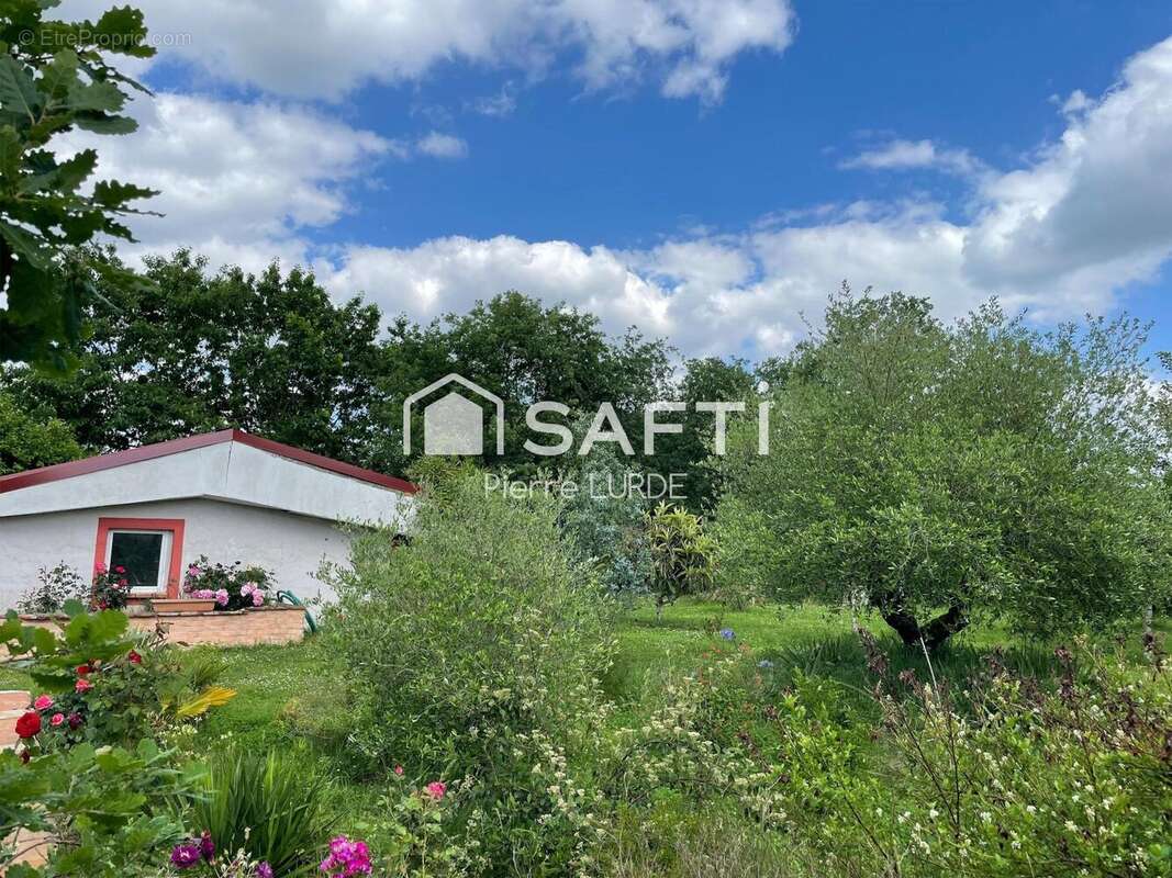 Photo 2 - Maison à MONTAUBAN