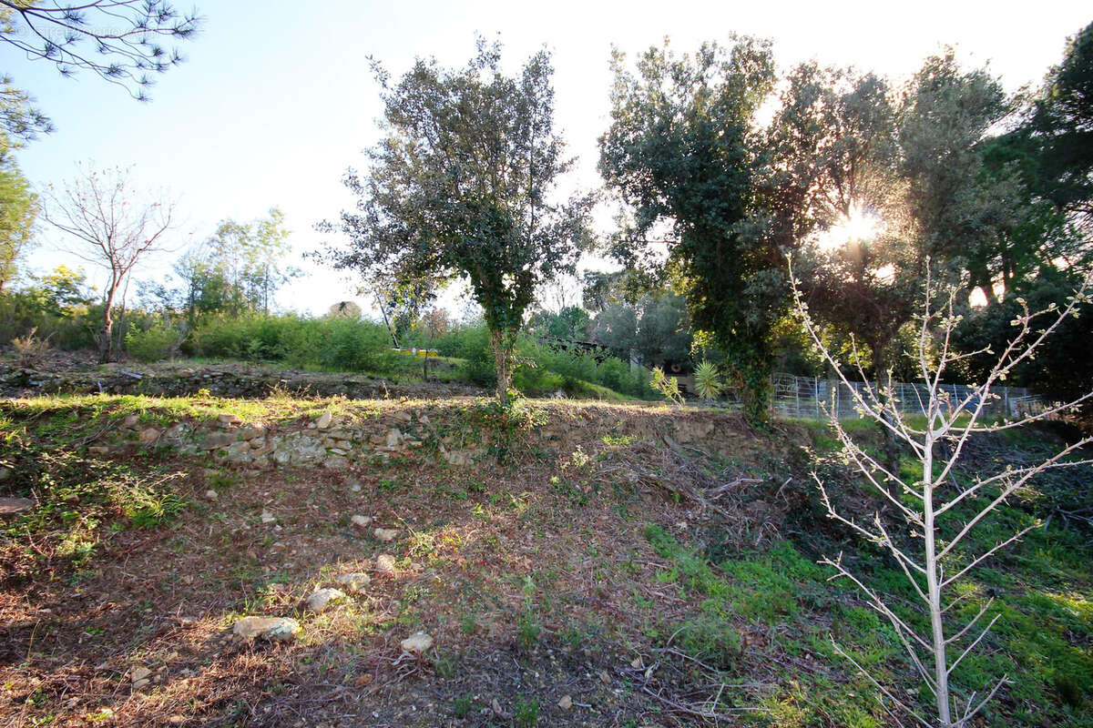 Terrain à ARGELES-SUR-MER